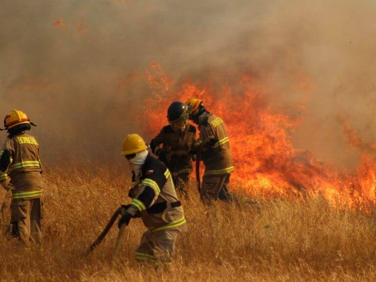 24 de Diciembre 2021/ CHILLAN.
Incendio se mantiene descontrolado y ha afectado a los sectores Chancal, Danquilco, Santa Ana del Baúl, San José del Baúl, El Olivar, Quebrada de Buyuquil, Coyanco, El Sauzal. En esta zona, el incendio retrocedió por el fundo La Bodega y Santa Ana del Baúl, en la comuna de Quillón, Región de Ñuble
- Más de 1.100 hectáreas de terreno boscoso y pastizales consumidos.
- 150 efectivos de bomberos y Conaf de toda la región, de encuentran trabajando.
- Cuatro helicópteros de Conaf, dos de Arauco y tres avionetas de Conaf apoyando la labor de extinción.
FOTO: JOSÉ CAMPOS / AGENCIAUNO