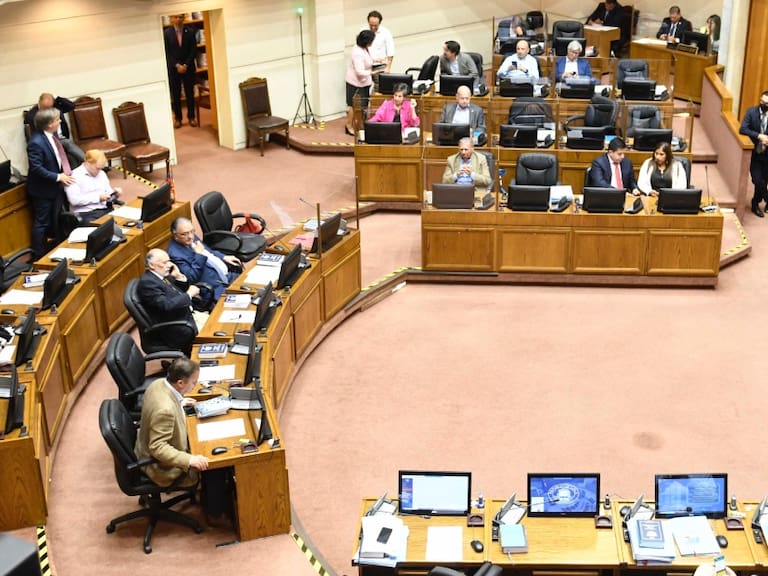 Comisión Experta: Senado aprueba su lista de 12 nombres complementarios para el proceso constitucional