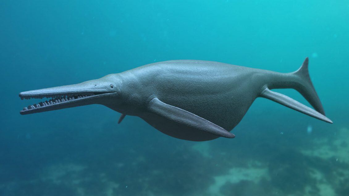 Giant Ichthyosaurus aquatic dinosaur, 3D rendered