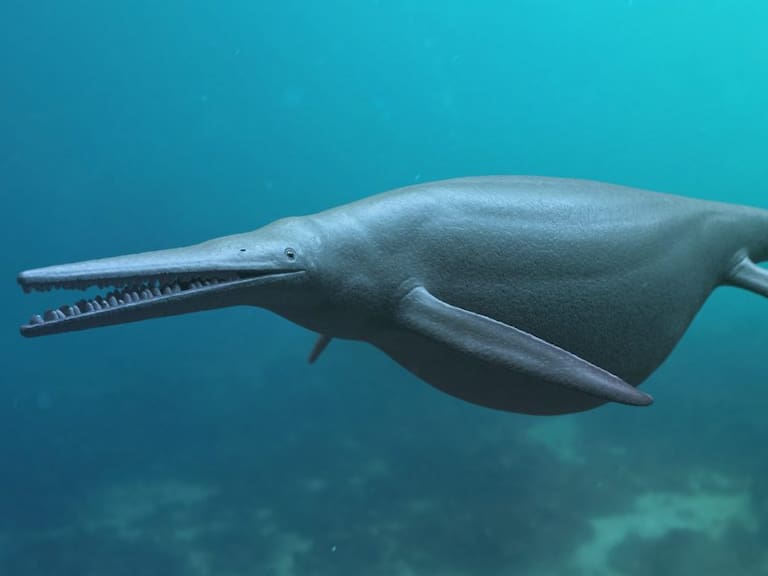 Giant Ichthyosaurus aquatic dinosaur, 3D rendered