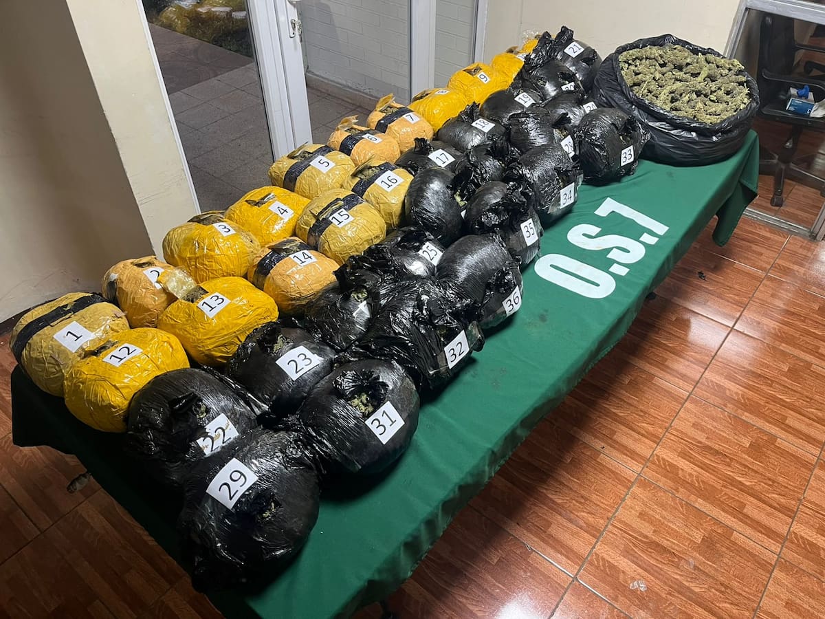 Avaluada en más de $183 millones: detienen a hombre que transportaba 45 kilos de marihuana en Collipulli