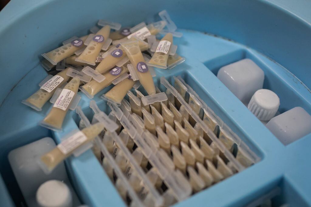 Vacunas orales contra el cólera en una campaña sanitaria de la OMS