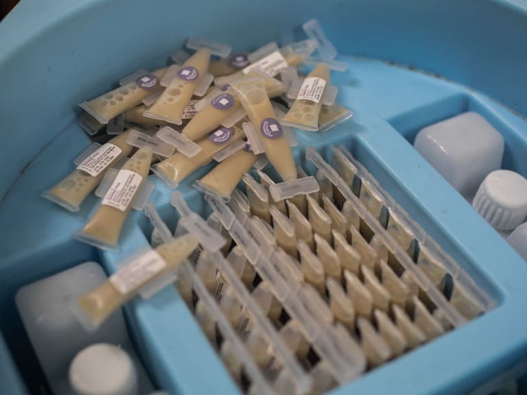 Vacunas orales contra el cólera en una campaña sanitaria de la OMS