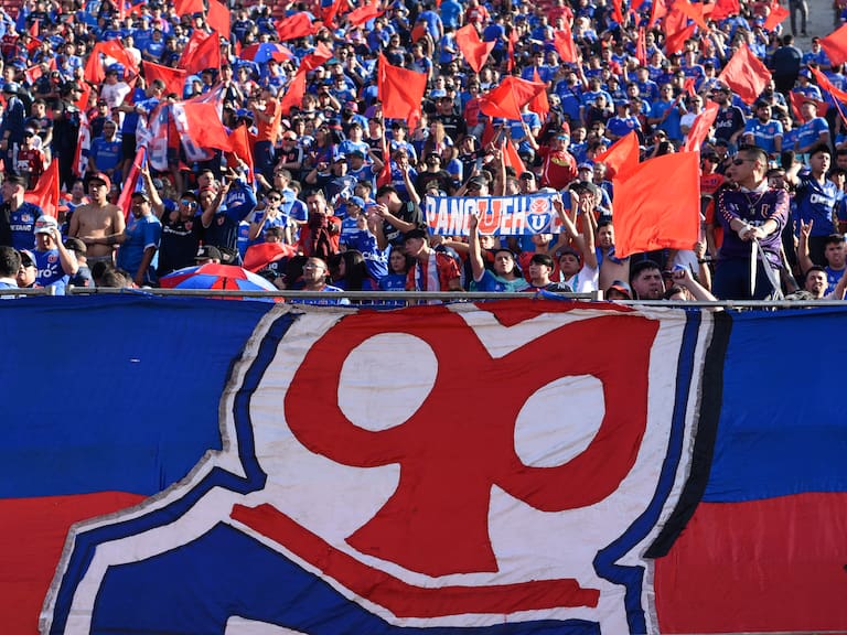 FOTO: VICTOR HUENANTE/ AGENCIAUNO