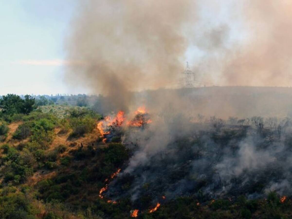 Puerto Montt: denuncian ante fiscalía intencionalidad en incendios forestales