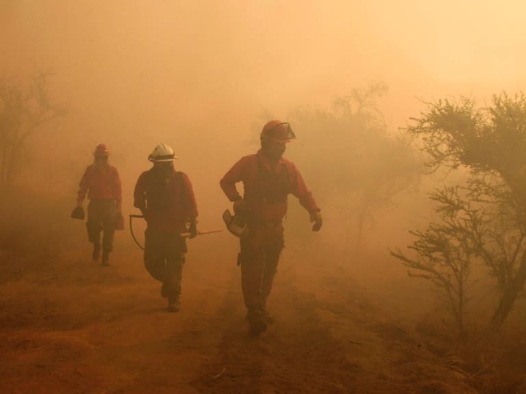 Declaran Alerta Roja para la comuna de Melipilla por incendio forestal