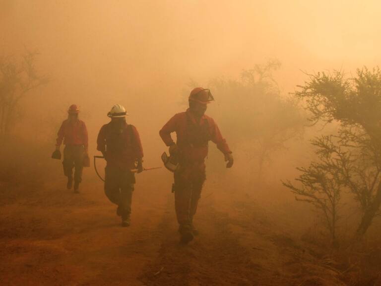 Declaran Alerta Roja para la comuna de Melipilla por incendio forestal