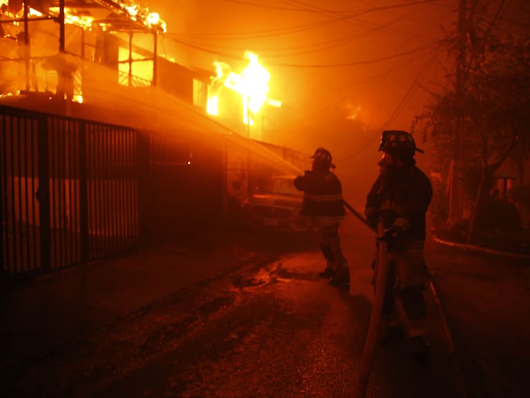Alcaldesa de Viña del Mar por incendios forestales: “Estamos frente a una catástrofe sin precedentes”