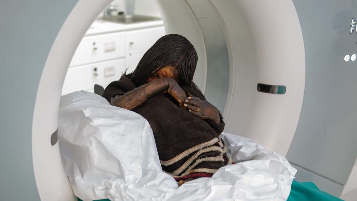 La ciencia forense reescribe la historia: el secreto revelado detrás de la muerte del Niño del Plomo
