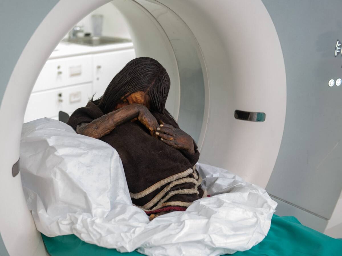 La ciencia forense reescribe la historia: el secreto revelado detrás de la muerte del Niño del Plomo
