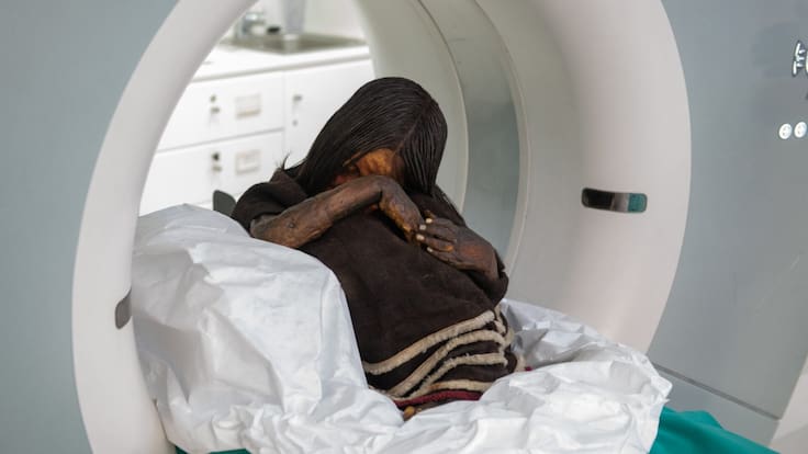 La ciencia forense reescribe la historia: el secreto revelado detrás de la muerte del Niño del Plomo
