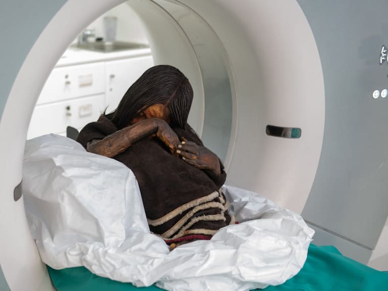 La ciencia forense reescribe la historia: el secreto revelado detrás de la muerte del Niño del Plomo