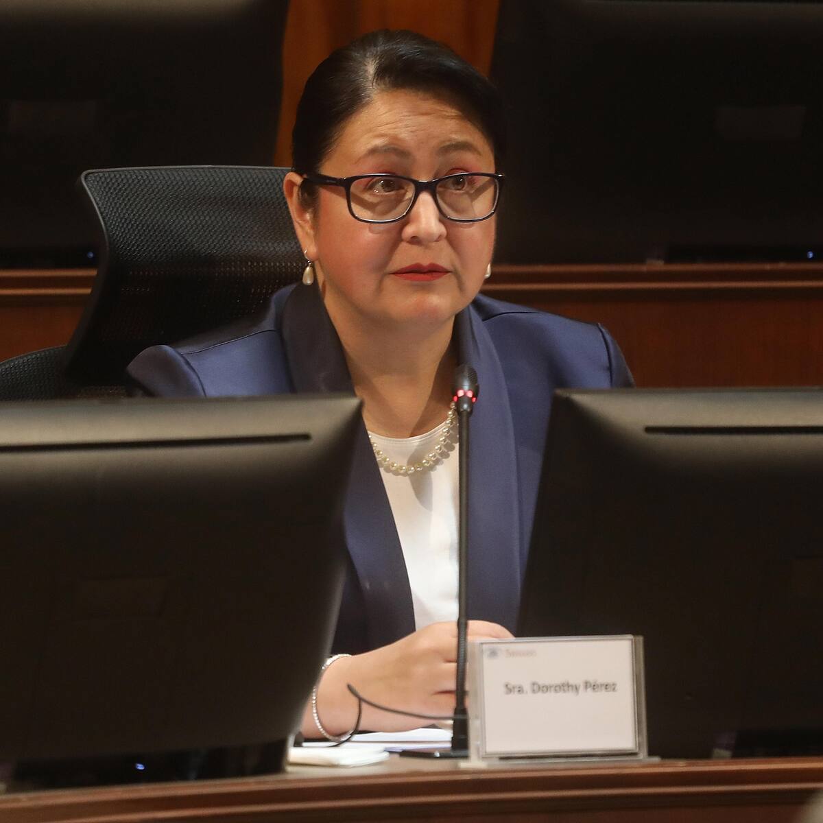 “Estamos auditando”: Dorothy Pérez revela que Contraloría mantiene dos auditorías en curso contra Codelco