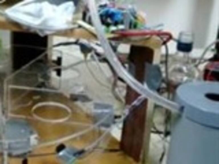 Estudiantes de la Usach crearon máquina que prepara piscolas