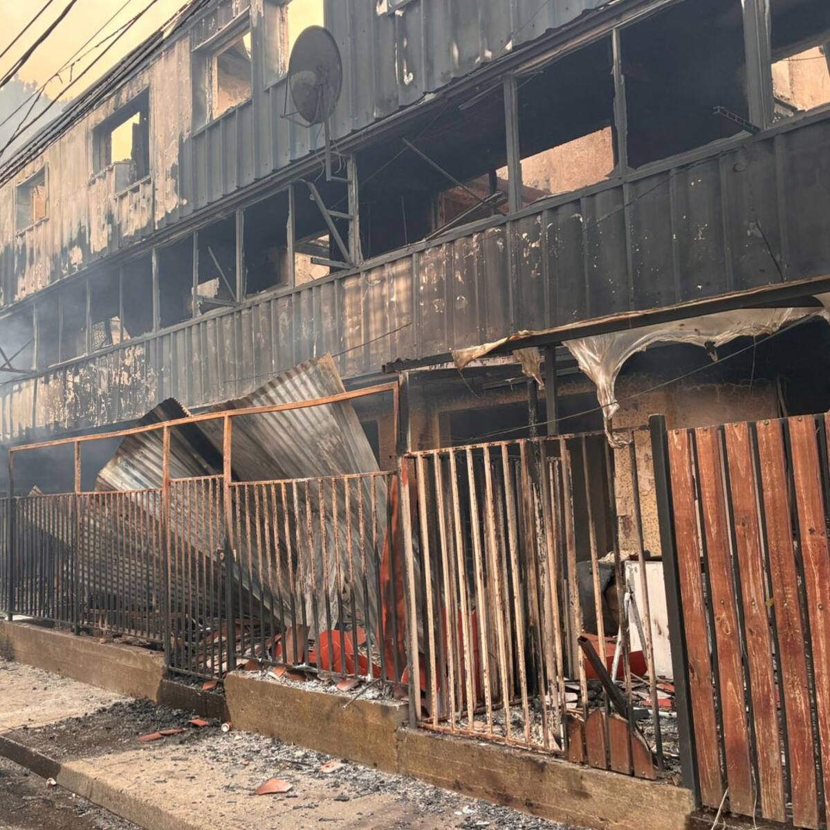 Incendios forestales dejan más de 250 viviendas destruidas en Concepción