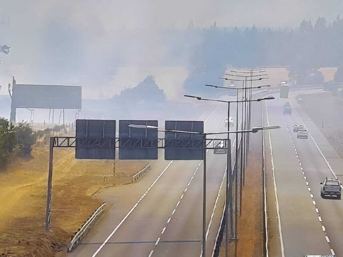 Senapred declara Alerta roja en Ercilla por incendio forestal: humo afecta visibilidad de carretera