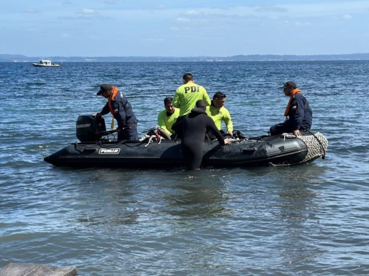 Podría tardar hasta una semana: comienzo proceso de extracción de helicóptero de Sebastián Piñera siniestrado en lago Ranco
