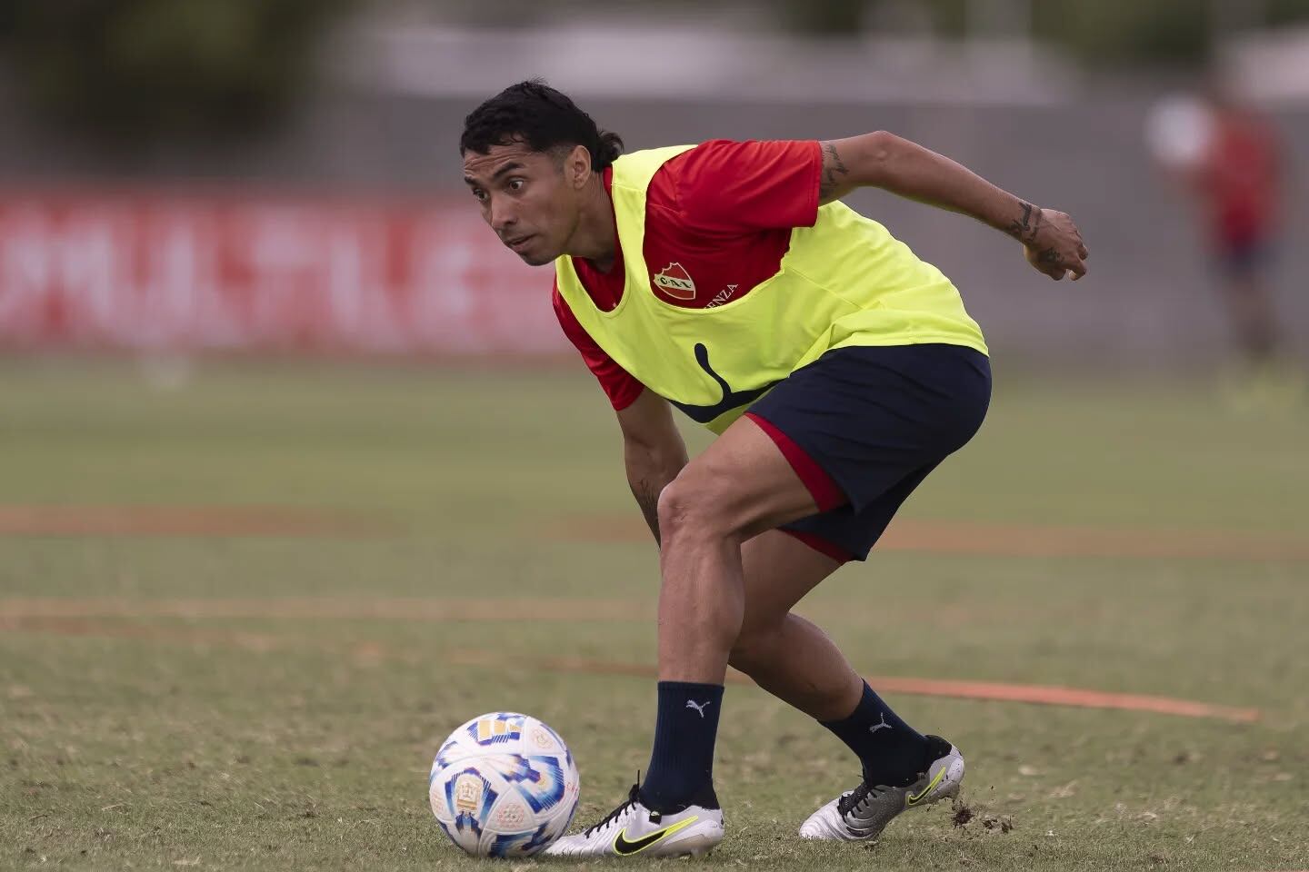 @caindependiente