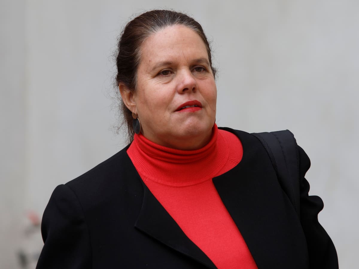 Ministra de Defensa por retiro de paneles argentinos en territorio chileno: “Lo importante es mantener las buenas relaciones”