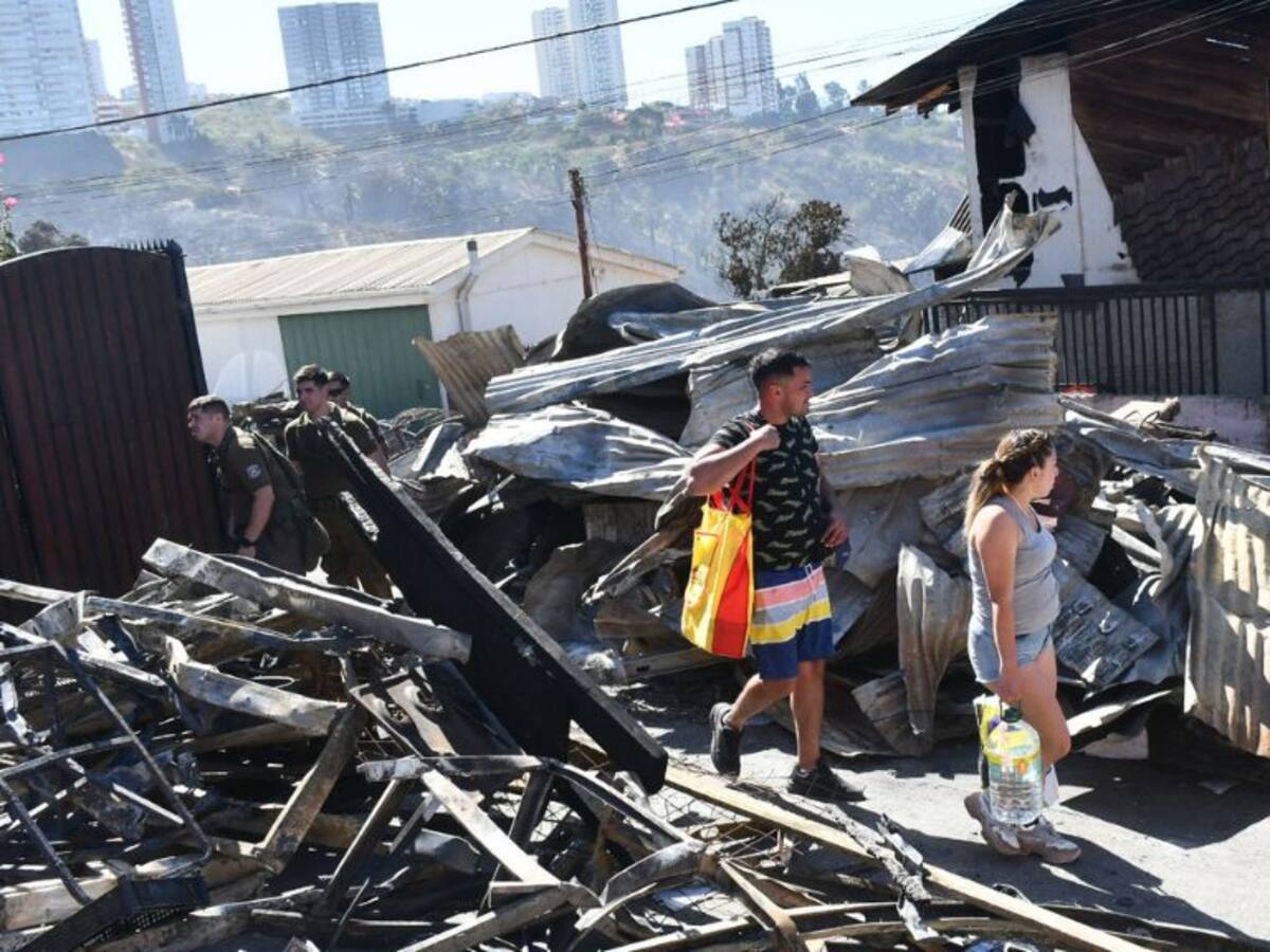 Incendio en Viña del Mar: comienza el catastro para el plan de reconstrucción de las zonas afectadas