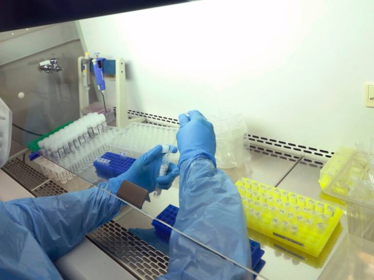 Gripe aviar en humanos: Minsal asegura por primer contagiado en Chile que «no se espera que existan brotes o contagios que aumenten los casos»