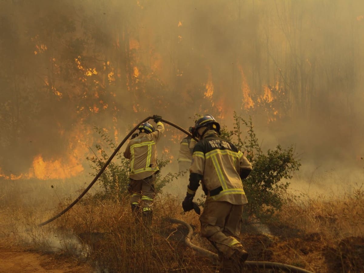 Alcalde de Paine hizo un balance de los incendios y valoró el hecho de contar con un “equipamiento lo suficientemente adecuado”