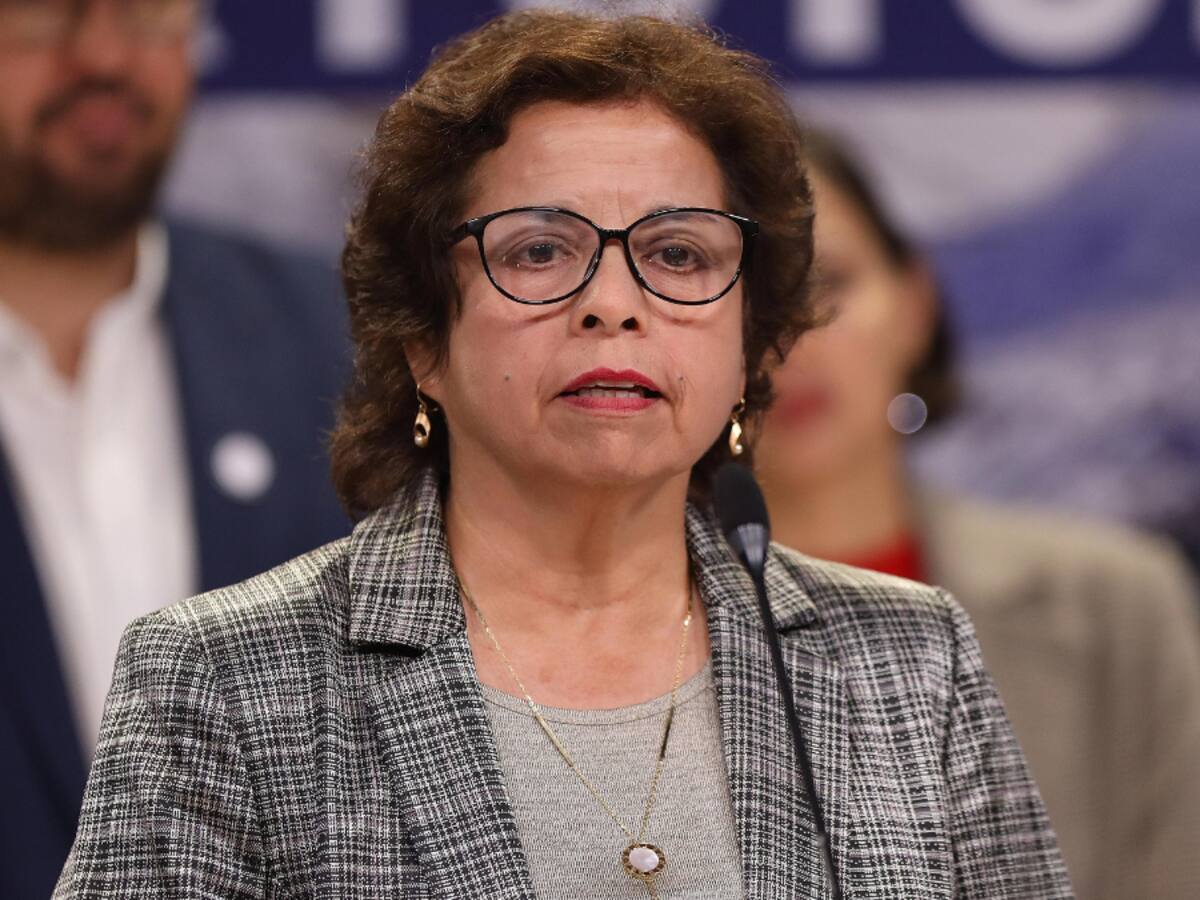 Ministra de Minería y creación de la Empresa Nacional del Litio: “Es algo que tenemos que consagrar en este Gobierno”