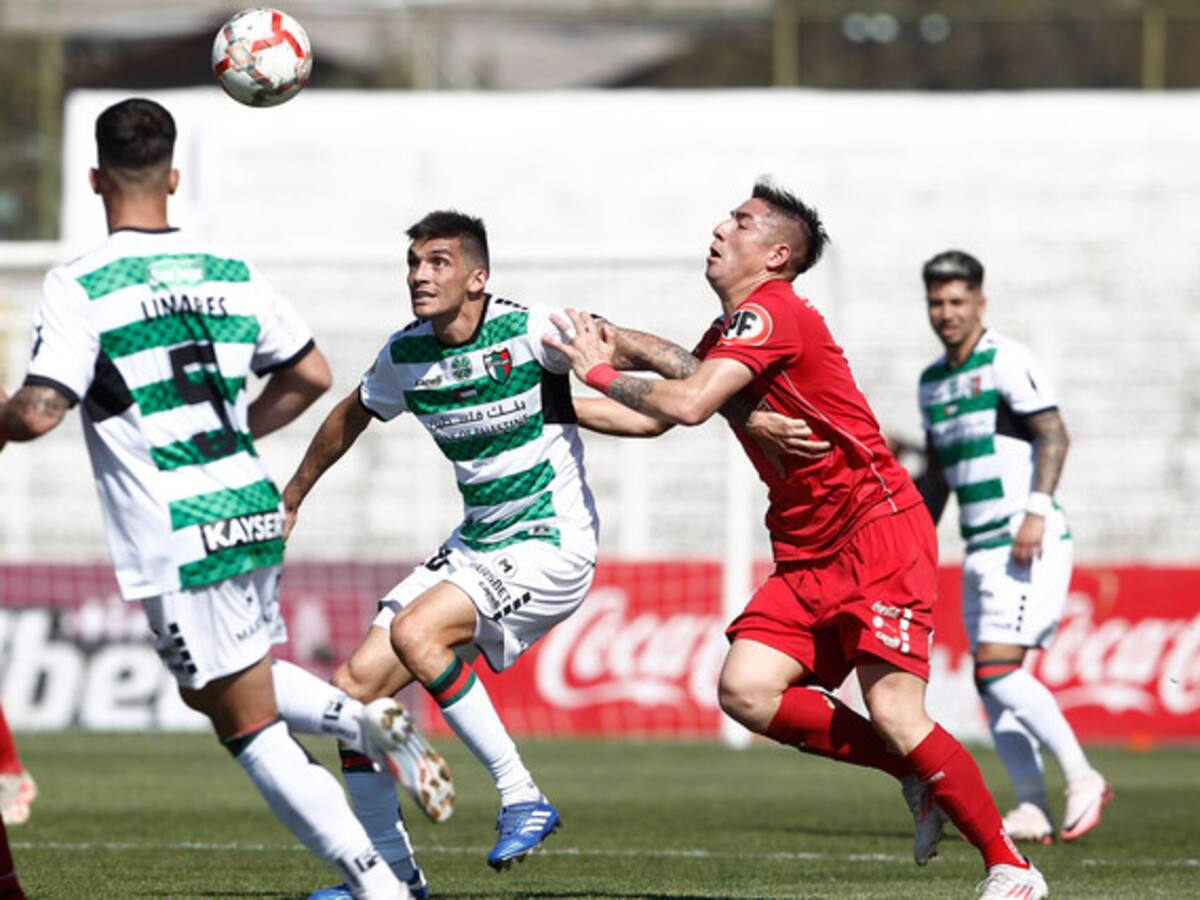 Palestino y Ñublense repartieron honores este domingo en el Municipal de La Cisterna