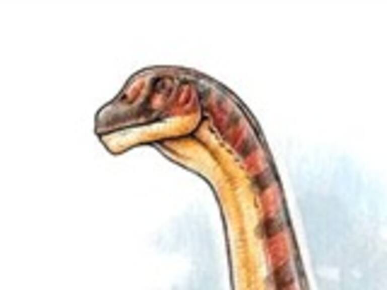 Hallan primer dinosaurio terrestre en Colombia