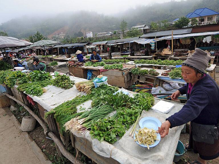 Una feria de alimentos cerca de la ciudad de Xam Neua en Laos