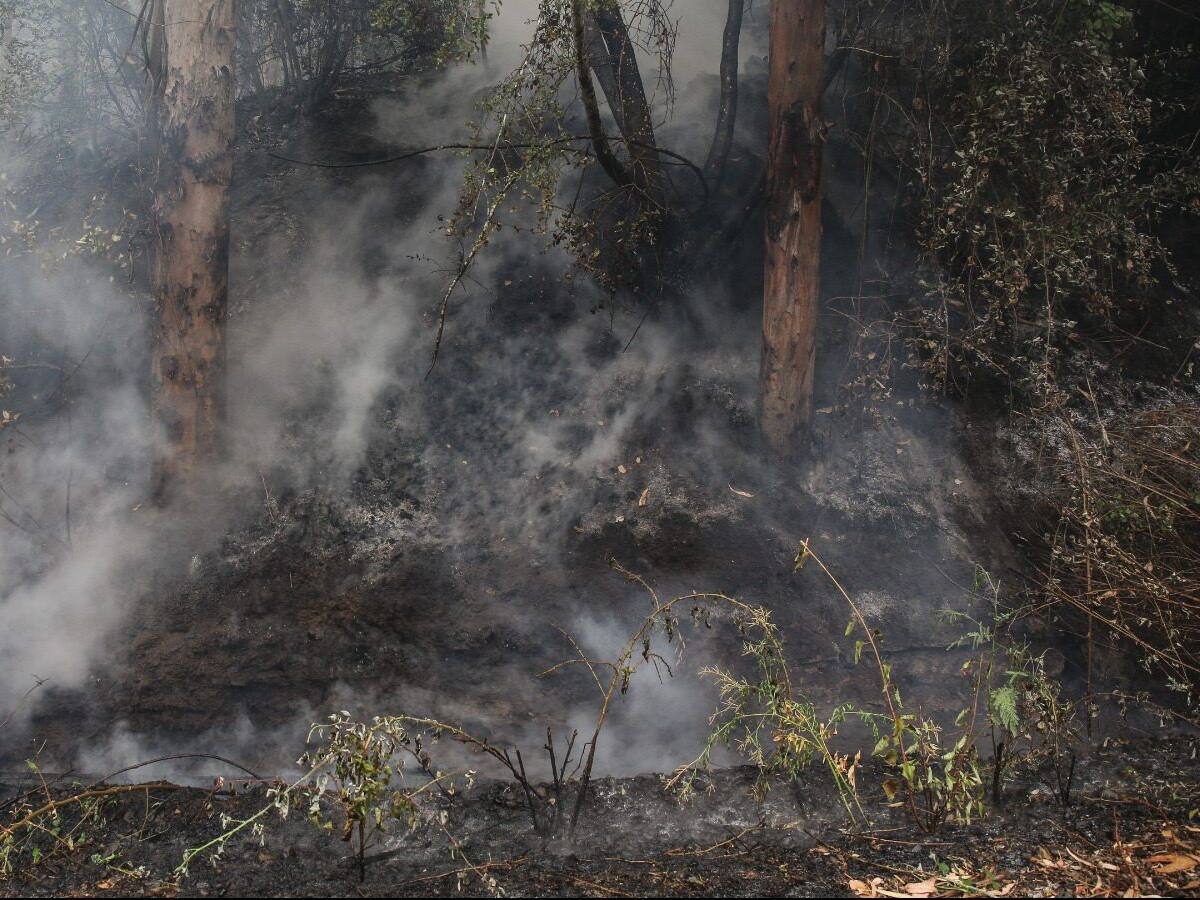 Senapred ordena evacuar Bruselas, Perasco y Villa San Lorencito por incendios forestales