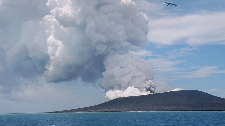 This view taken on January 17, 2015 from a boat at sea shows a frigate bird (C) flying on the thermals from the new vent as steam and gas rise from the eruption of a volcano, some 65 kilometres (40 miles) northwest of the South Pacific nation Tonga's capital Nuku'alofa. The Tongan volcano has created a substantial new island since it began erupting in December, spewing out huge volumes of rock and dense ash that has killed nearby vegetation, officials said on January 16. The Lands and Natural Resources Ministry said the volcano was erupting from two vents, one on the uninhabited island of Hunga Ha'apai and the other underwater about 100 metres offshore. AFP PHOTO / Matangi Tonga / Mary Lyn Fonua (Photo credit should read Mary Lyn Fonua/AFP via Getty Images)