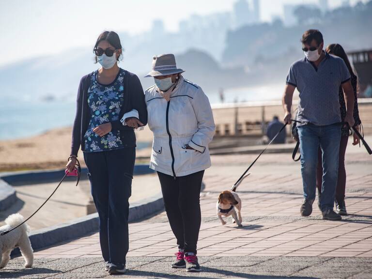 Mascotas en Halloween: cómo protegerlas durante la «noche de miedo» para evitar enfermedades