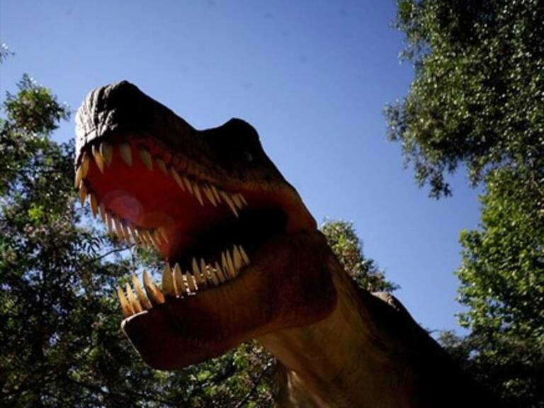 Así es la huella de dinosaurio más grande encontrada en el mundo