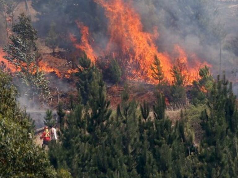 FNE acusa de cartel a dos empresas por «restringir o entorpecer» mercado del combate de incendios