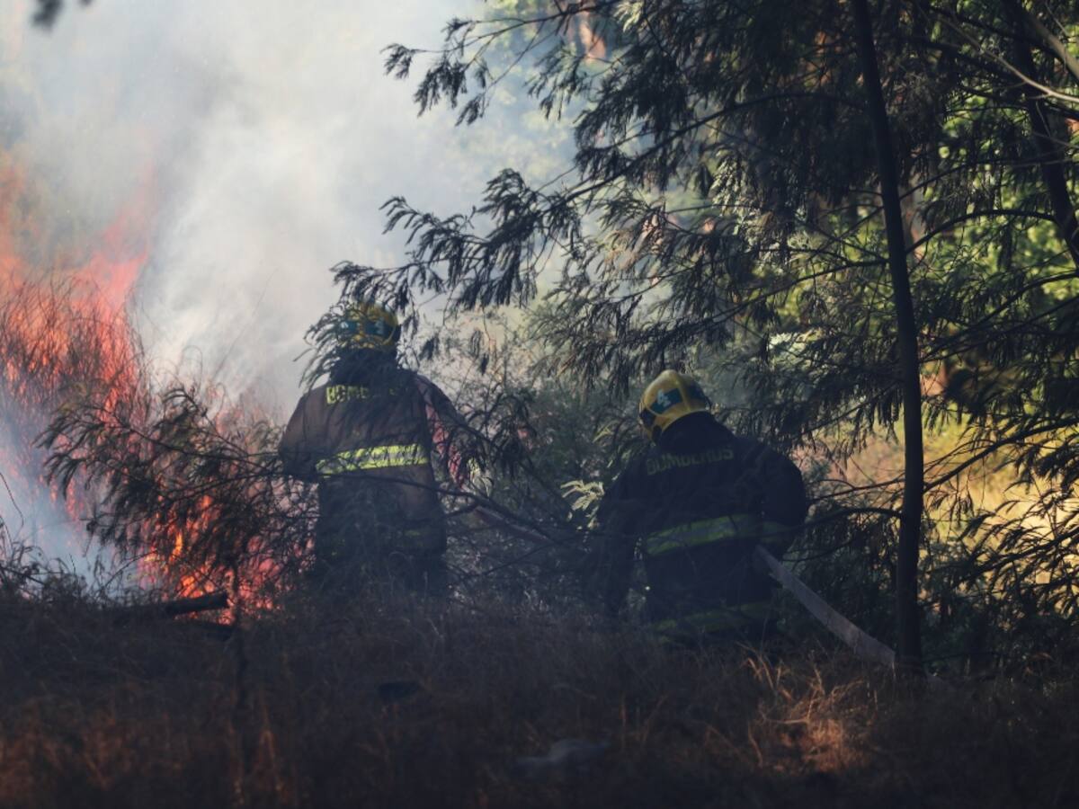 Onemi reporta un total de 33 incendios forestales este fin de semana