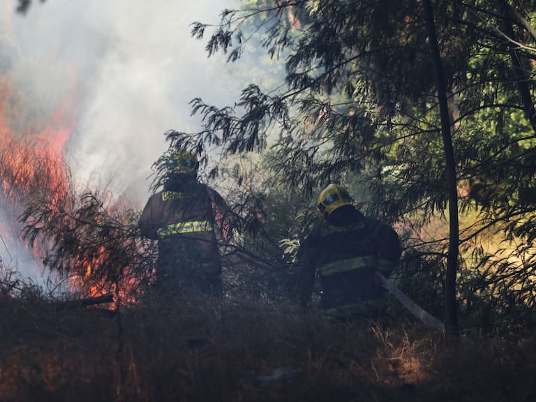 Ante alzas de temperaturas: Onemi decreta Alerta Temprana Preventiva en la Región Metropolitana por amenaza de incendios forestales
