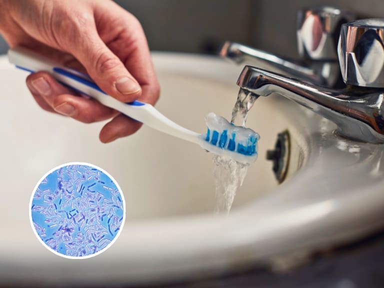 “Acumula bacterias”: experto advierte cada cuánto tiempo se debe cambiar el cepillo de dientes