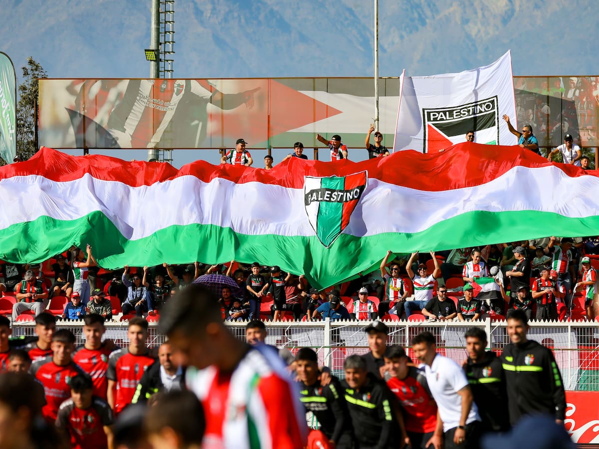 “Seguimos esperando”: Palestino informó que aún no recibe autorización para jugar ante Cobreloa en La Cisterna