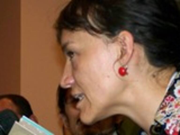 Texto sobre niños detenidos desaparecidos obtuvo mayor galardón de Academia Chilena de la Lengua