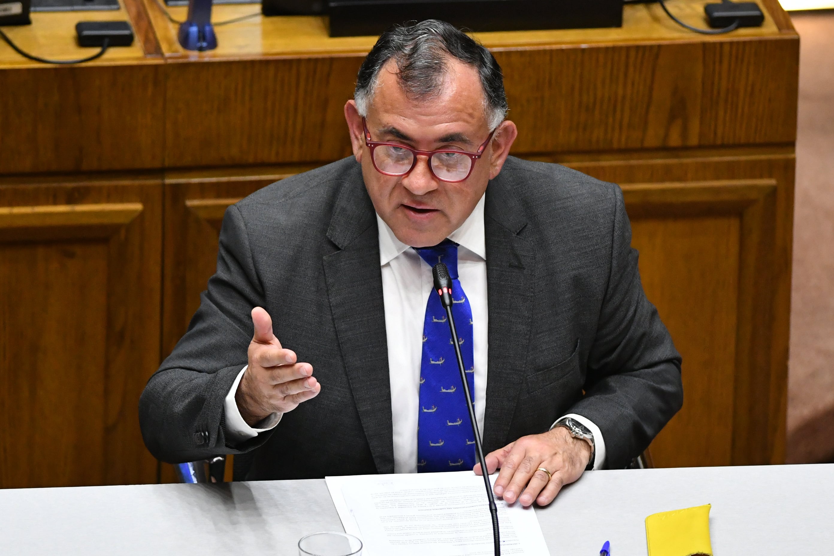 Diputado Eric Aedo