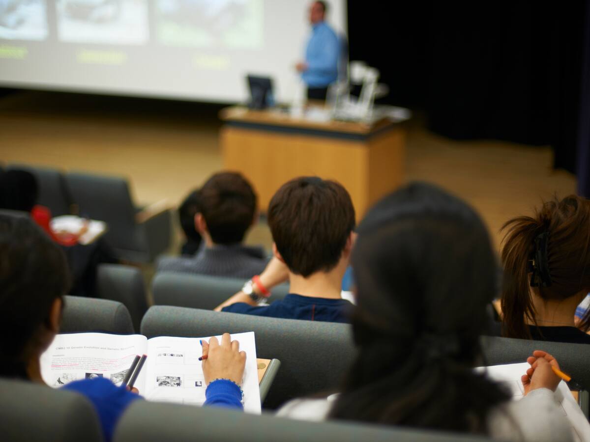 Estas son las carreras universitarias más elegidas por los chilenos, según la IA