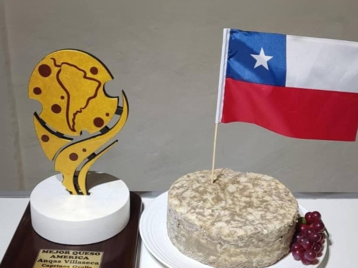 Queso chileno se corona como el mejor del continente tras ganar la Copa América del Queso