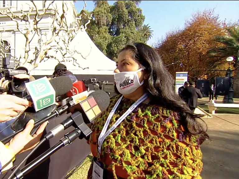 Constituyente Elsa Labraña