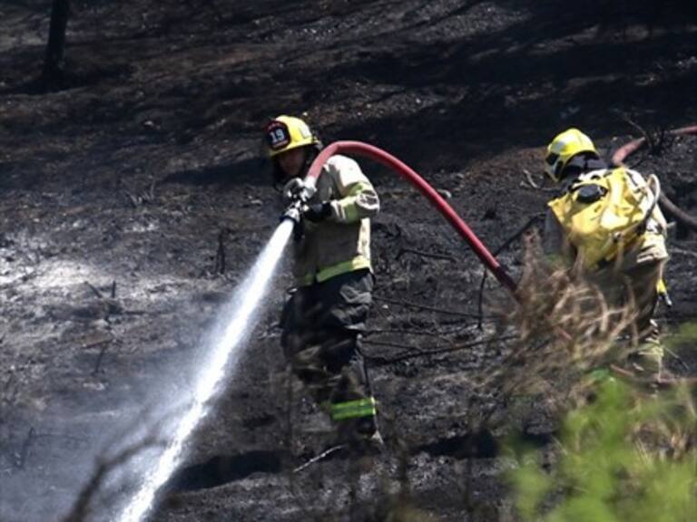 Onemi declaró Alerta Roja para Valparaíso por incendio forestal en Placilla