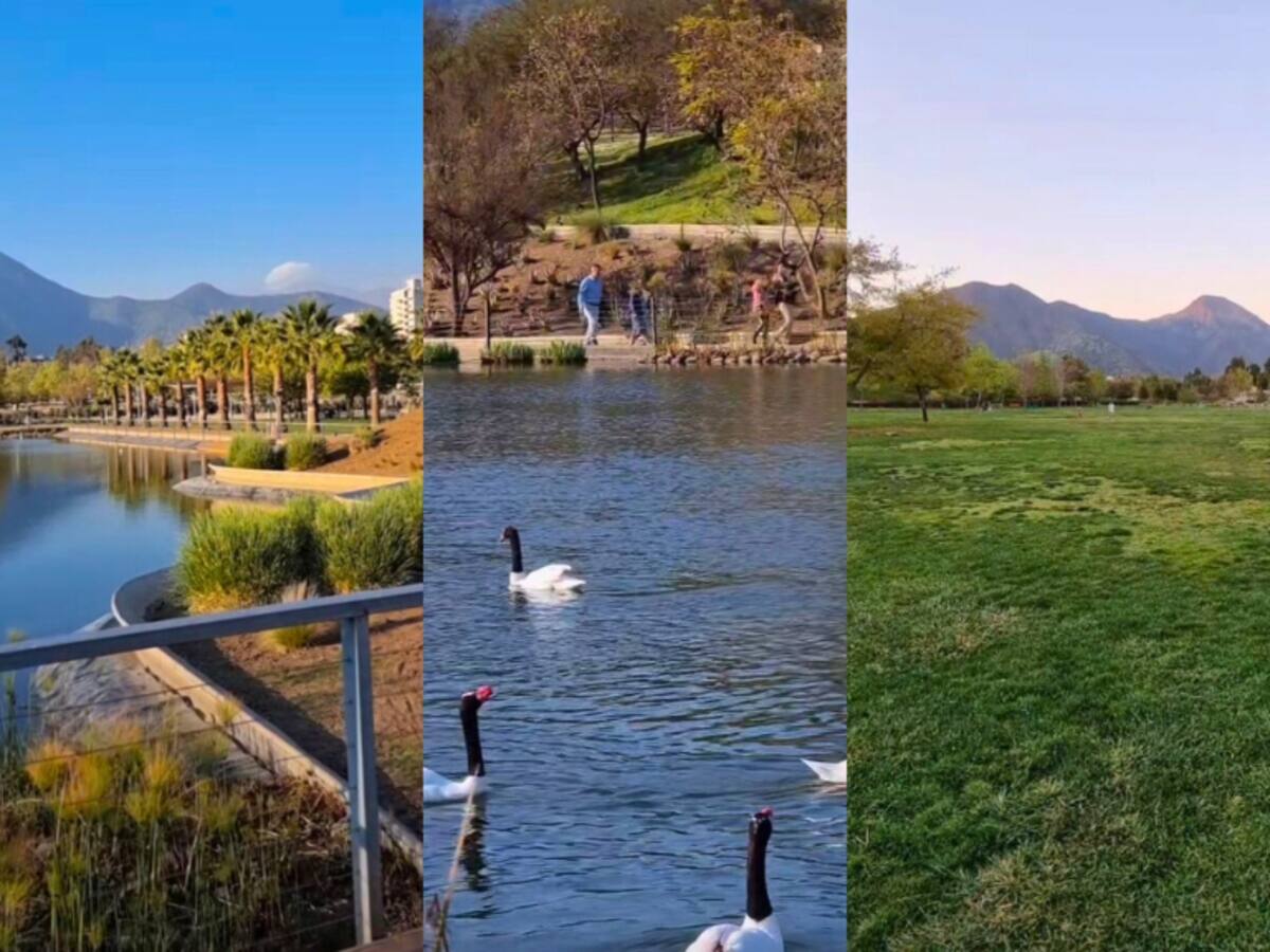 Tiene una encantadora laguna y se pueden ver cisnes de cuello negro: así es el parque de Santiago gratuito ideal para ir en verano