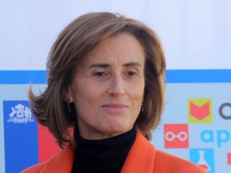 Acusación constitucional contra ministra de Educación se presentará el 5 de septiembre