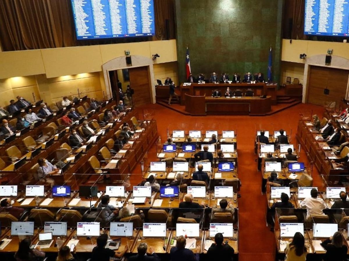 Aceites, decoraciones lujosas y camisetas de la U: Desclasifican los increíbles regalos que reciben diputados y senadores