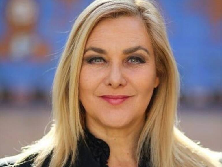 «Defendernos Pain Piñera-chan»: Pamela Jiles compartió mensaje «otaku» y fue aplaudida por en redes