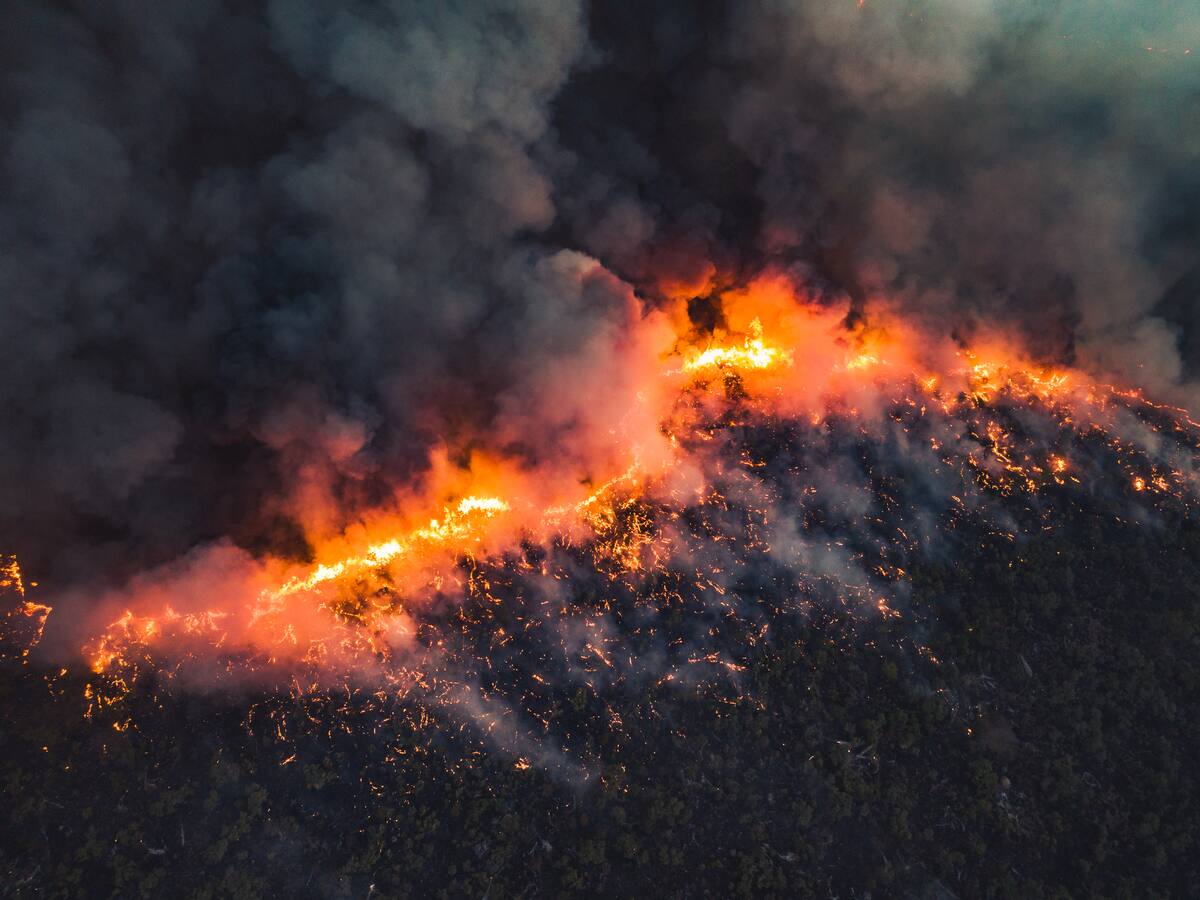 Una persona grave y 15 casas destruidas: Fiscalía investiga intencionalidad en incendios que azotan región del Ñuble